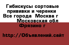 Гибискусы сортовые, прививки и черенки - Все города, Москва г.  »    . Московская обл.,Фрязино г.